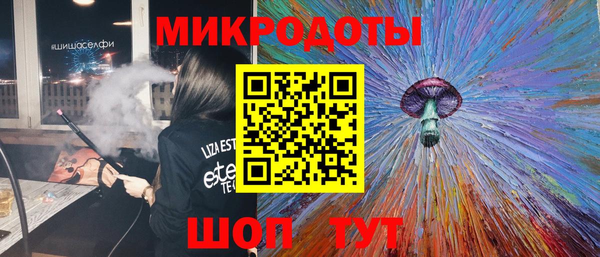 Псилоцибиновые грибы Psilocybe Гусиноозёрск