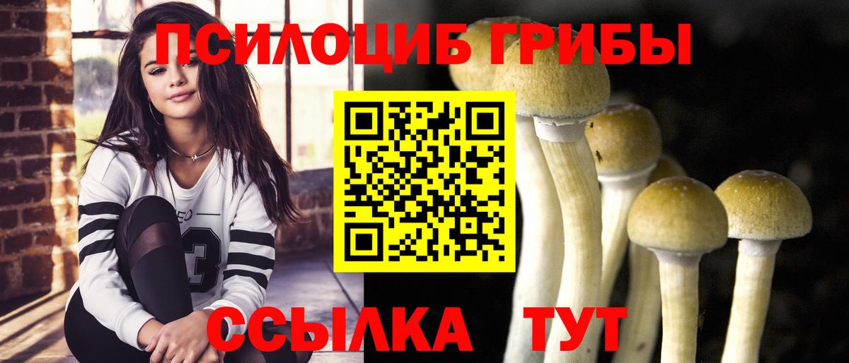 Гусиноозёрск  Галлюциногенные грибы мицелий  Вход с VPN  Галлюциногенные грибы Psilocybine cubensis 